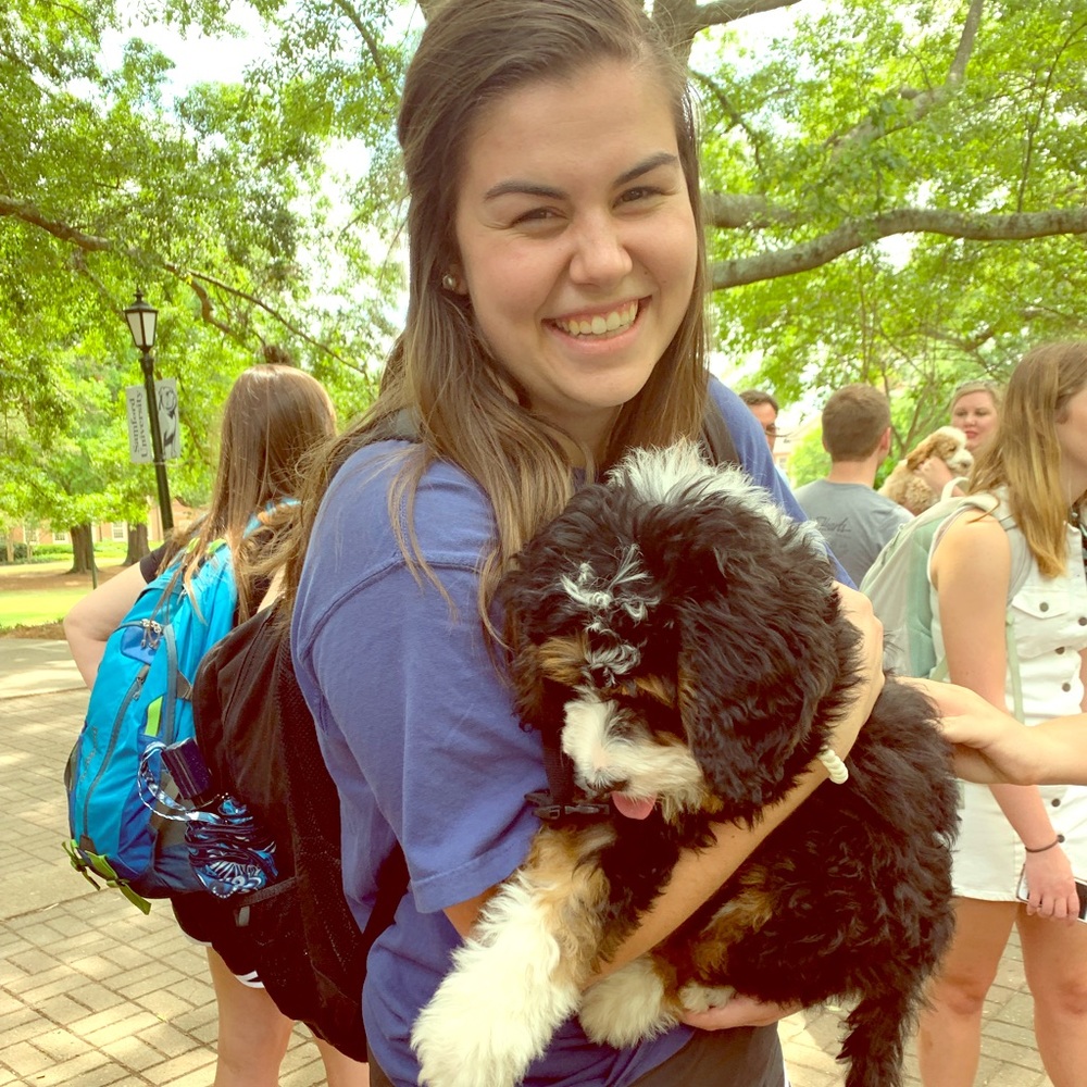 About Your Posher/ Reboot